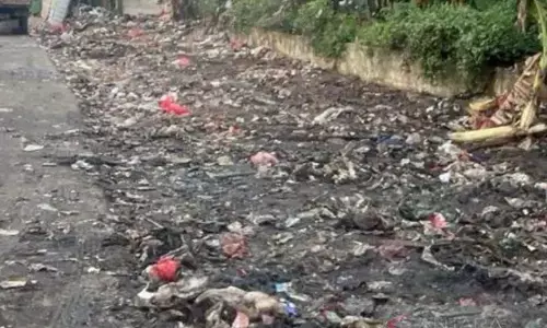 Satpel LH tuntaskan pembersihan tumpukan sampah di Cakung