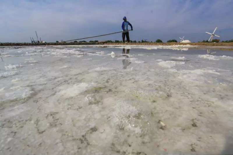Mengharumkan asa garam di pantura Cirebon Mengharumkan asa garam di pantura Cirebon