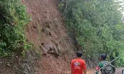 BPBD: Hujan deras picu longsor dan banjir di sejumlah wilayah Cilacap