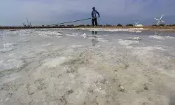 Mengharumkan asa garam di pantura Cirebon