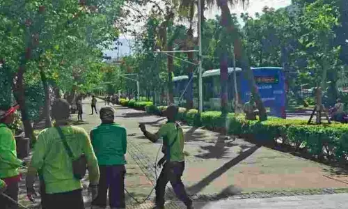 Pemprov remajakan pohon antisipasi pohon tumbang saat cuaca buruk