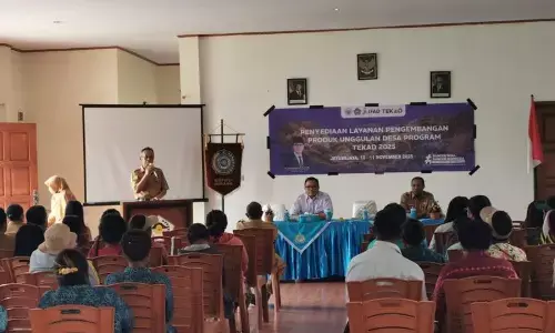 Kemendes PDT dukung pengembangan produk Jayawijaya