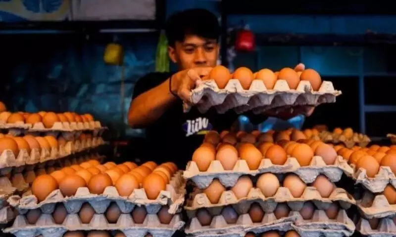 PIHPS: Harga cabai rawit Rp41.950/kg, telur ayam Rp31.500/kg