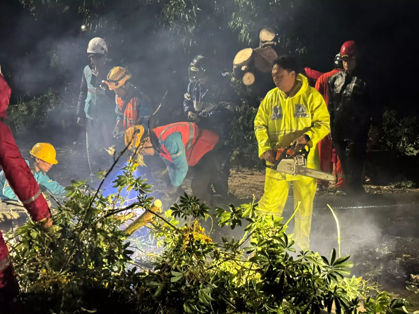 Angin kencang melanda Tegal selatan, sejumlah pohon dan tiang listrik ambruk