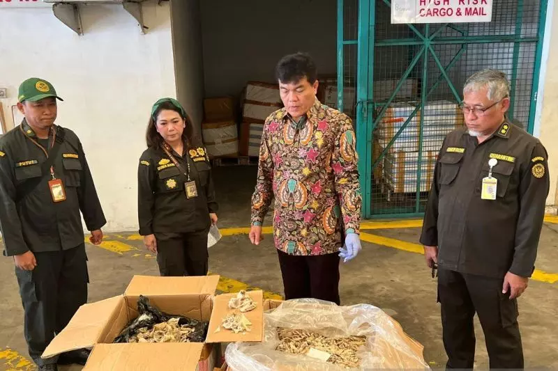 Barantin bongkar kasus ekspor sarang burung walet di Bandara Soetta