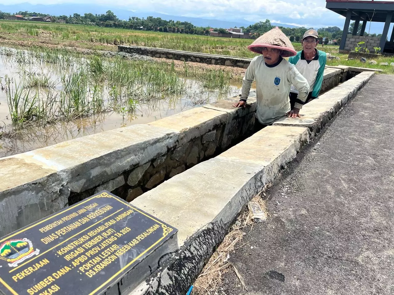 Cerita petani dapat bantuan irigasi dari Ahmad Luthfi, mudah peroleh air, panen melimpah