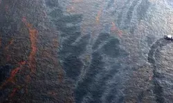 Korban tumpahan Montara tuntut kompensasi Rp9 Triliun