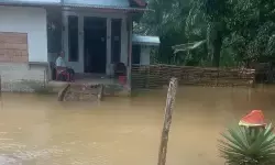 Banjir rendam dua desa di Aceh Barat Banjir rendam dua desa di Aceh Barat