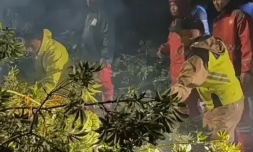 Hujan deras dan angin kencang landa Tegal, pohon tumbang dan tiang listrik roboh Hujan deras dan angin kencang landa Tegal, pohon tumbang dan tiang listrik roboh