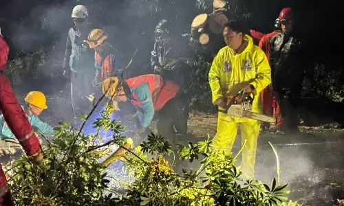 Angin kencang melanda Tegal selatan, sejumlah pohon dan tiang listrik ambruk Angin kencang melanda Tegal selatan, sejumlah pohon dan tiang listrik ambruk