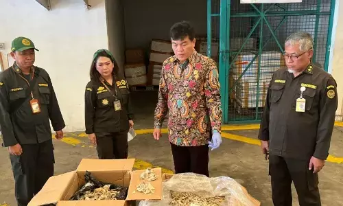 Barantin bongkar kasus ekspor sarang burung walet di Bandara Soetta Barantin bongkar kasus ekspor sarang burung walet di Bandara Soetta