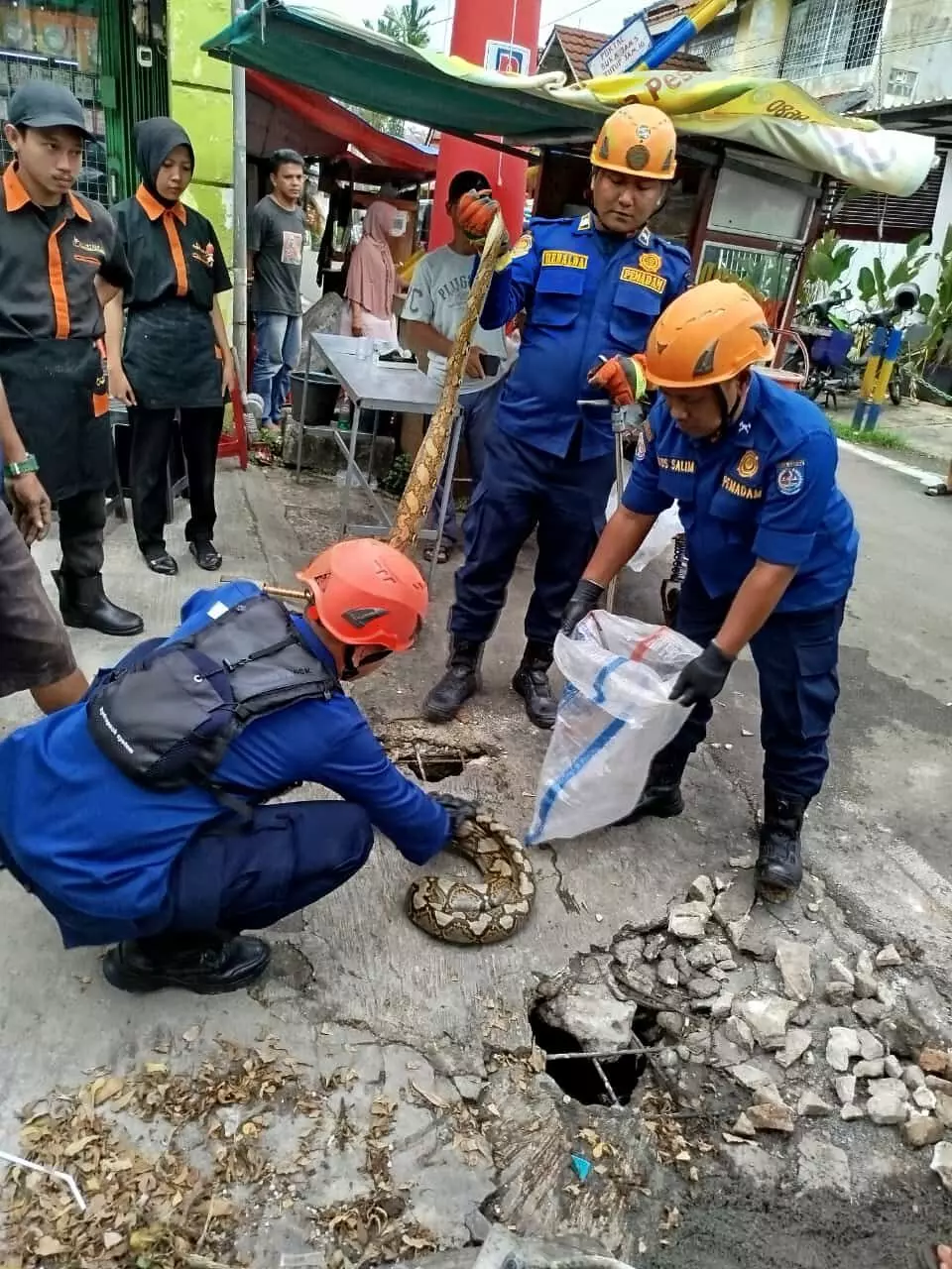 Damkar Depok bantu warga evakuasi ular sanca panjang 4 Meter di Sukmajaya Depok
