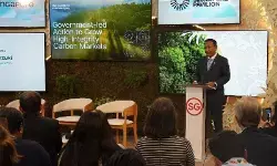 Indonesia tegaskan komitmen perkuat pasar karbon dunia
