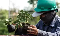 Eks lahan konflik Megamendung kini jadi kawasan ekowisata