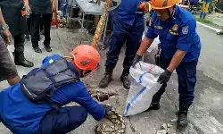 Damkar Depok bantu warga evakuasi ular sanca panjang 4 Meter di Sukmajaya Depok