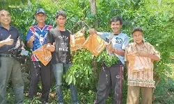 Jambore Petani Kopi bangkitkan harapan baru menuju produktivitas 3 ton per hektare