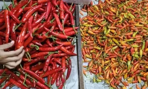 PIHPS: Harga cabai rawit Rp38.900/kg, telur ayam Rp31.450/kg