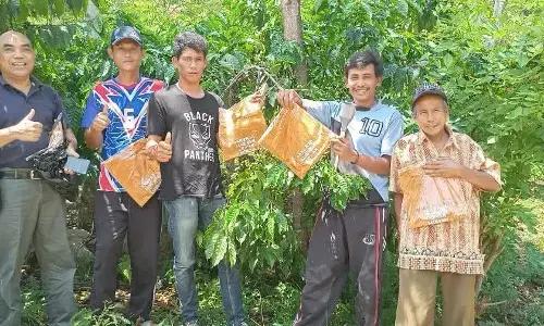 Jambore Petani Kopi bangkitkan harapan baru menuju produktivitas 3 ton per hektare Jambore Petani Kopi bangkitkan harapan baru menuju produktivitas 3 ton per hektare