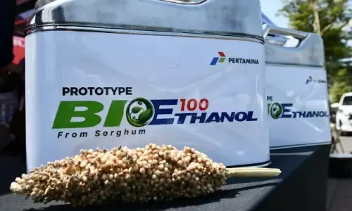 Ekonom senior: Kerja sama Pertamina–Toyota soal bioetanol langkah cerdas
