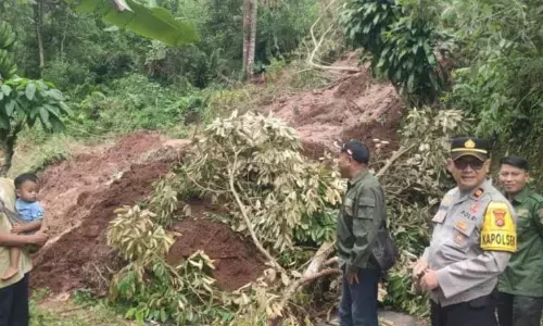 Petugas gabungan pastikan jalur Mande-Cianjur sudah dapat dilalui Petugas gabungan pastikan jalur Mande-Cianjur sudah dapat dilalui