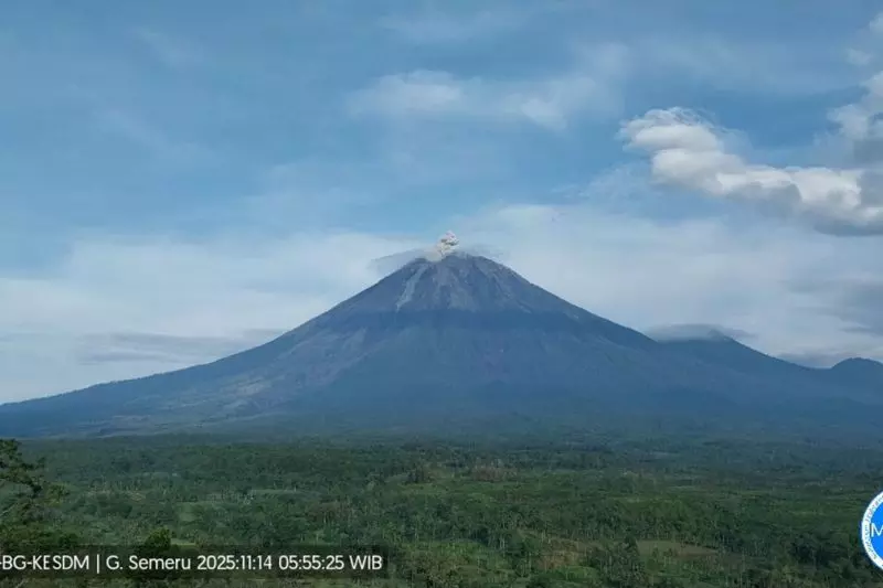 Gunung Semeru kembali erupsi dengan kolom abu 800 meter