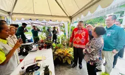 BI lakukan pengendalian kemiskinan di Papua melalui GNPIP dan kembangkan UMKM