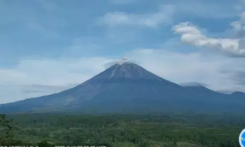 Gunung Semeru kembali erupsi dengan kolom abu 800 meter Gunung Semeru kembali erupsi dengan kolom abu 800 meter