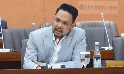Investasi Danantara untuk peternakan broiler, Legislator: Lindungi peternak mandiri