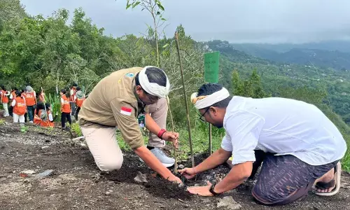 BKSDA Bali tanam pohon Serentak di Panelokam Kintamani