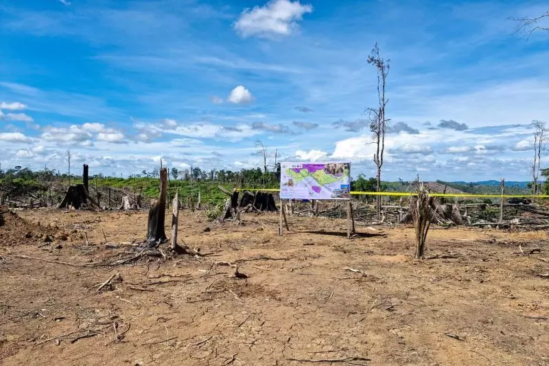 Kemenhut amankan 2.390 ha areal perambahan hutan di Lanskap Seblat Kemenhut amankan 2.390 ha areal perambahan hutan di Lanskap Seblat