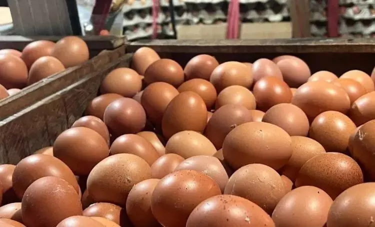 PIHPS: Harga cabai rawit Rp42.700 per kg, telur ayam Rp31.450 per kg PIHPS: Harga cabai rawit Rp42.700 per kg, telur ayam Rp31.450 per kg