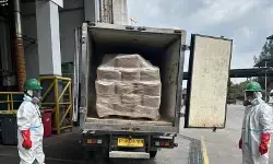 Satgas musnahkan 494 kotak berisi udang terkontaminasi Cesium-137 Satgas musnahkan 494 kotak berisi udang terkontaminasi Cesium-137