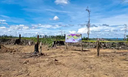 Kemenhut amankan 2.390 ha areal perambahan hutan di Lanskap Seblat Kemenhut amankan 2.390 ha areal perambahan hutan di Lanskap Seblat