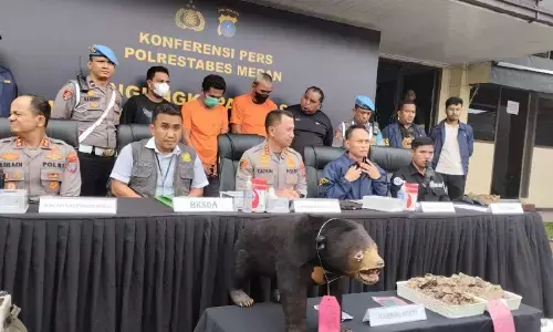 Polrestabes Medan buru penjual offset beruang madu Polrestabes Medan buru penjual offset beruang madu