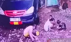 Polisi ungkap kronologi mobil yang lindas dua anak kecil di Jaktim