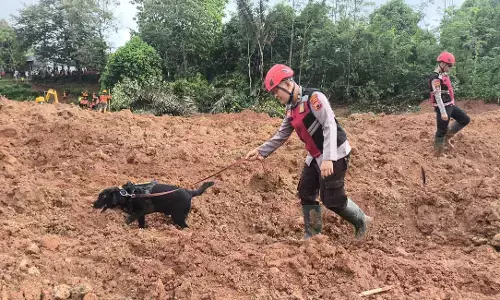 Anjing pelacak bantu Tim Gabungan untuk temukan warga yang hilang akibat  Longsor