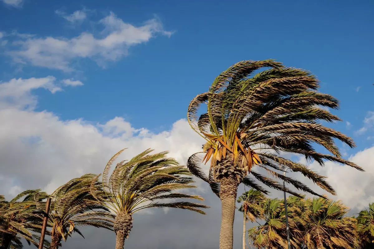 17 November 2024: Rumah warga rusak akibat angin puting beliung yangterjang Kota Solo 17 November 2024: Rumah warga rusak akibat angin puting beliung yangterjang Kota Solo