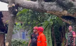 Angin puting beliung masih ancam sejumlah wilayah di Salatiga