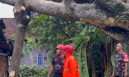 Angin puting beliung masih ancam sejumlah wilayah di Salatiga Angin puting beliung masih ancam sejumlah wilayah di Salatiga