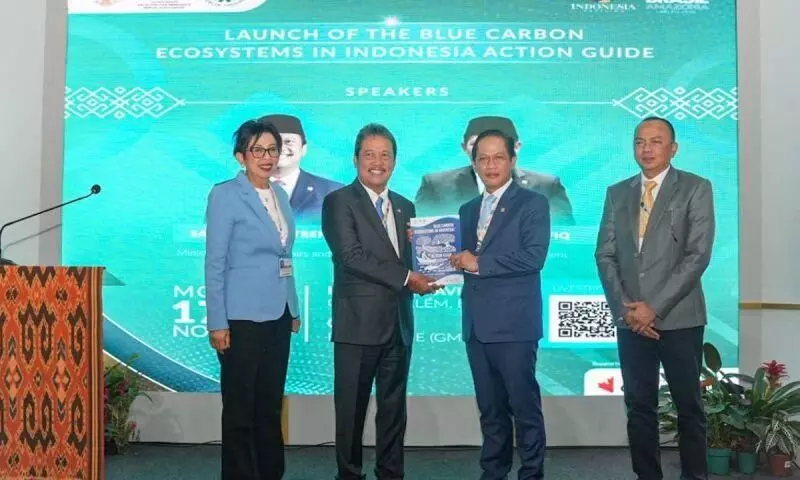 Pemerintah rilis panduan aksi ekosistem karbon biru Pemerintah rilis panduan aksi ekosistem karbon biru