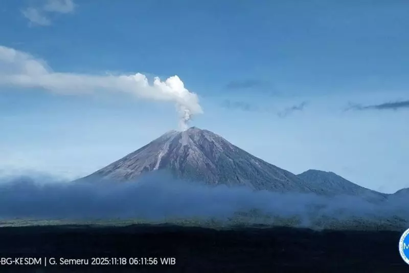 Gunung Semeru erupsi dengan tinggi letusan 800 meter di atas puncak Gunung Semeru erupsi dengan tinggi letusan 800 meter di atas puncak