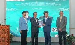 Pemerintah rilis panduan aksi ekosistem karbon biru