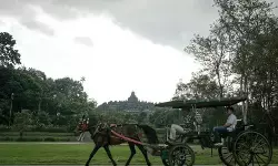 Kemenpar bersiap luncurkan dokumen Indonesia Tourism Outlook 2025/2026