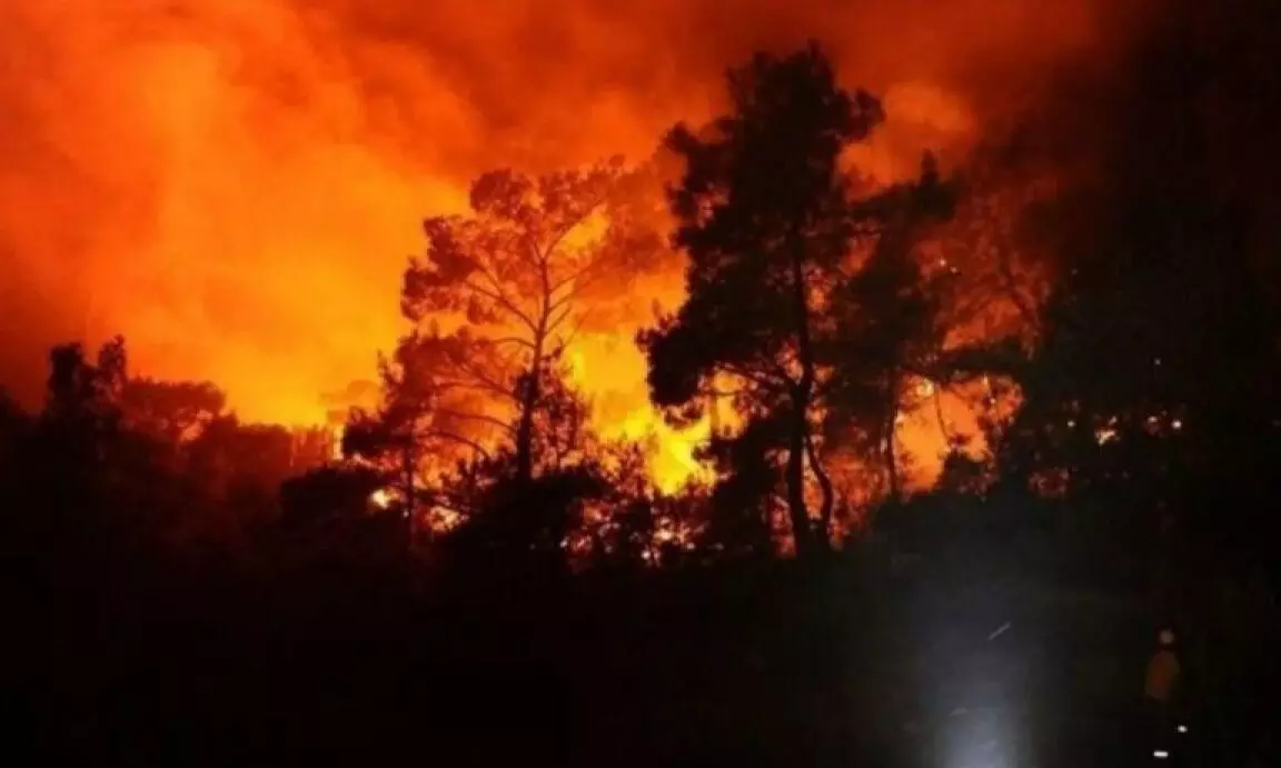 175 warga Jepang mengungsi akibat kebakaran hebat 175 warga Jepang mengungsi akibat kebakaran hebat