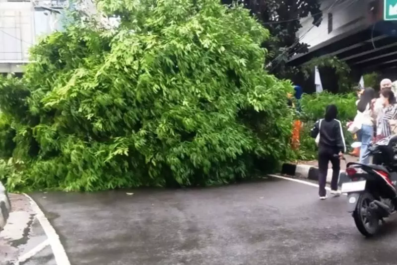 Kamis siang hingga sore diperkirakan sebagian Jakarta hujan Kamis siang hingga sore diperkirakan sebagian Jakarta hujan