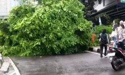 Kamis siang hingga sore diperkirakan sebagian Jakarta hujan