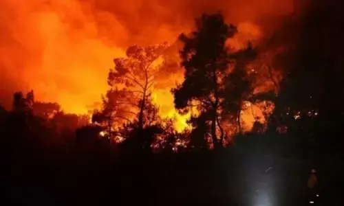 175 warga Jepang mengungsi akibat kebakaran hebat 175 warga Jepang mengungsi akibat kebakaran hebat