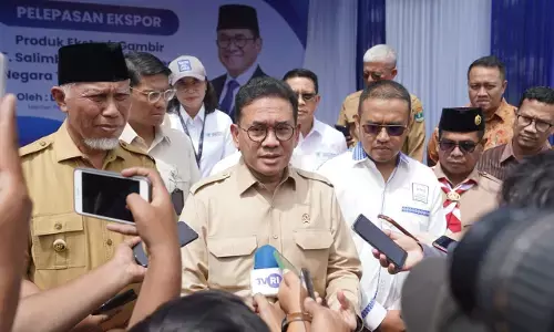 Mendag Busan dorong hilirisasi, bidik potensi ekspor gambir bernilai tambah Mendag Busan dorong hilirisasi, bidik potensi ekspor gambir bernilai tambah