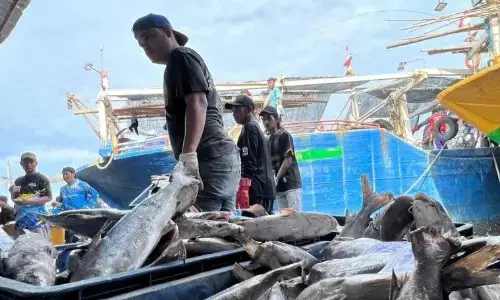 KKP: RI negara I dengan sistem ketertelusuran perikanan standar global KKP: RI negara I dengan sistem ketertelusuran perikanan standar global