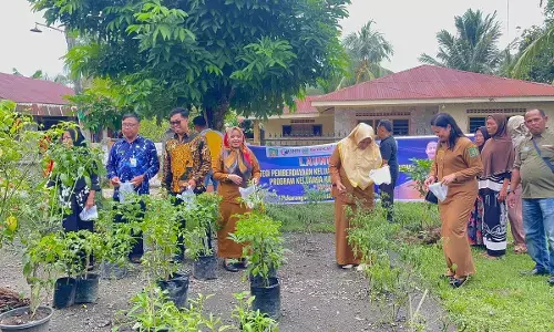 Launching Perkasa, Dinsos Langkat ajak KPM PKH manfaatkan pekarangan Launching Perkasa, Dinsos Langkat ajak KPM PKH manfaatkan pekarangan